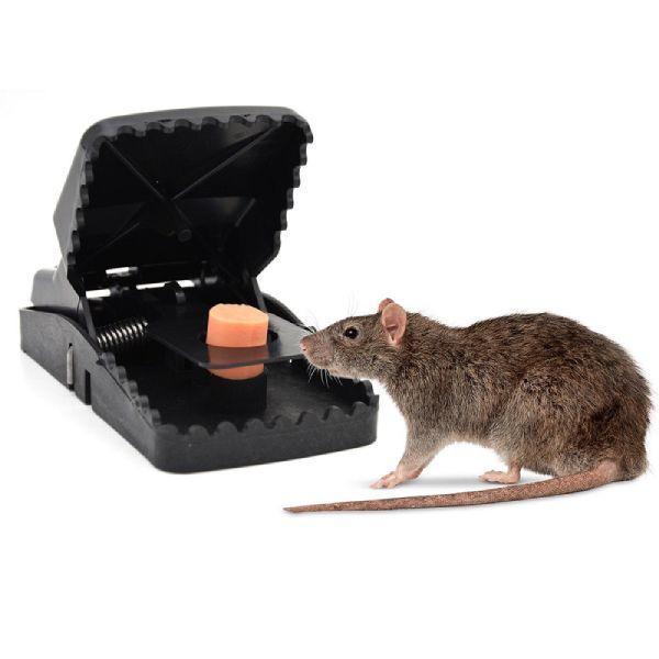 Reusable 6 PC Mice Traps