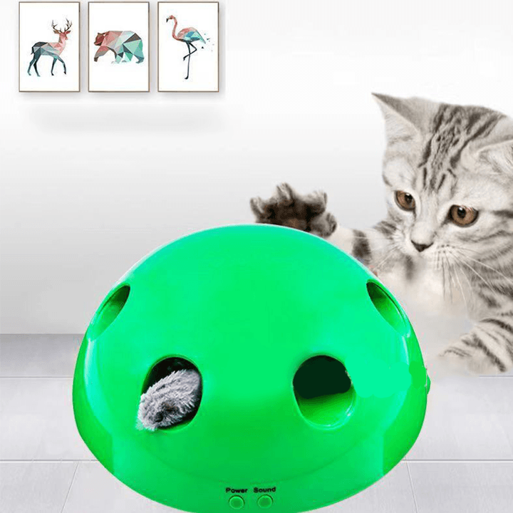 Interactive Motion Cat Toy Scratching Device