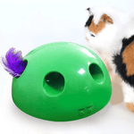 Interactive Motion Cat Toy Scratching Device