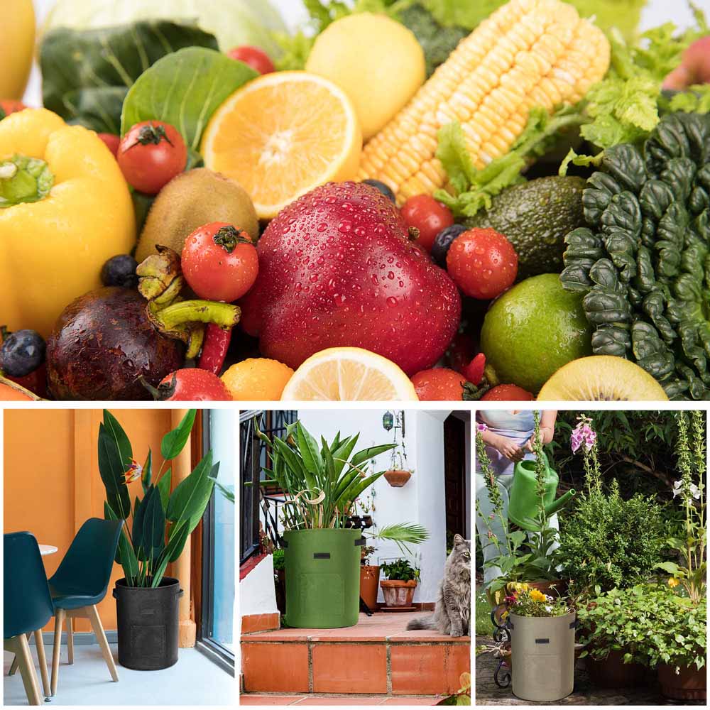 3 Pcs Breathable Vegetable Plant Grow Bags (Large)