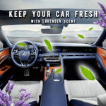 Car Interior Cleaner