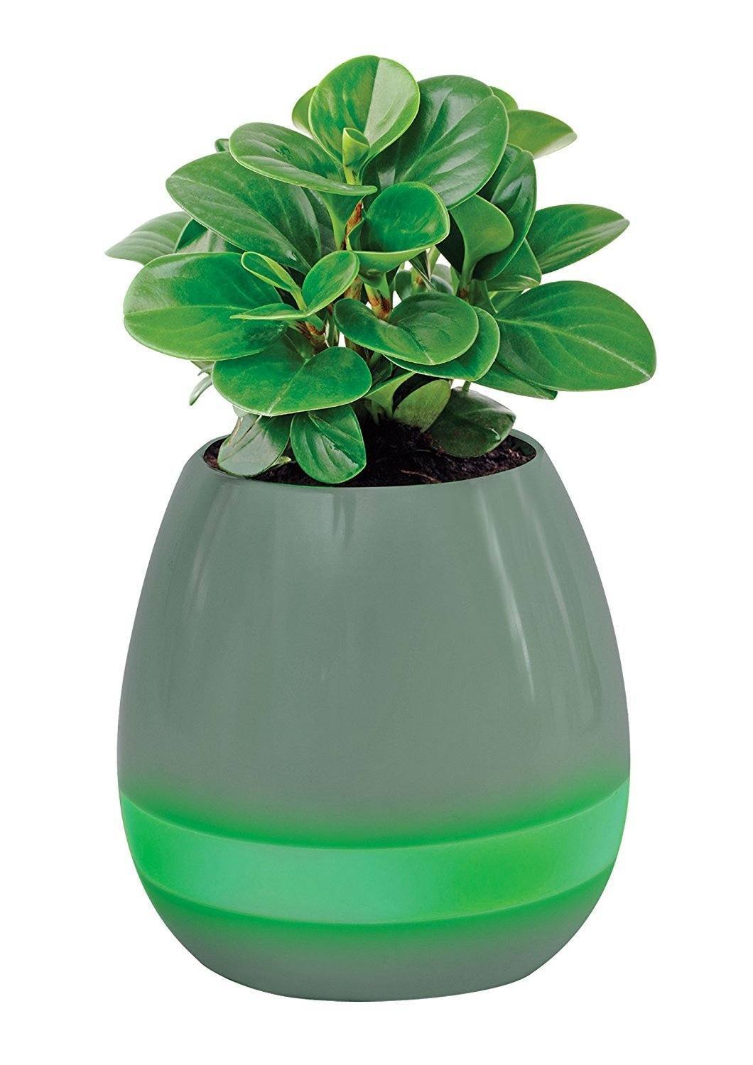 Bluetooth Color Changing Musical Flower Pot