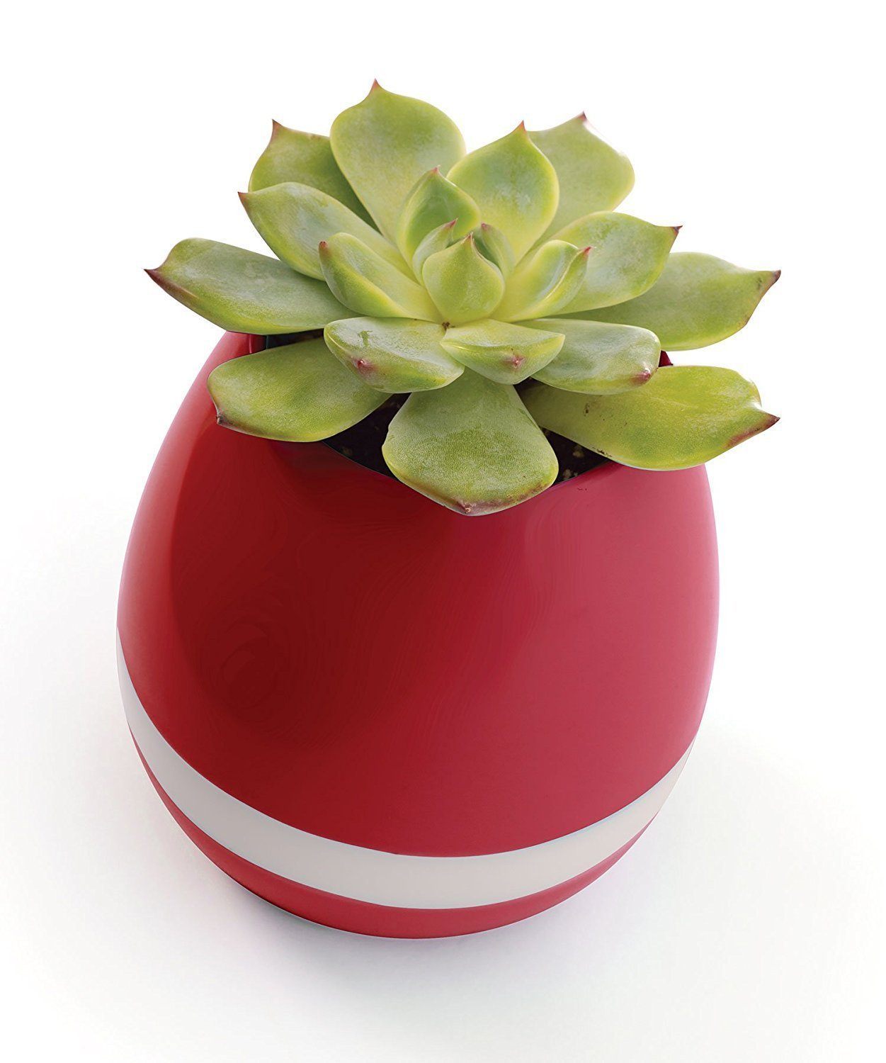 Bluetooth Color Changing Musical Flower Pot