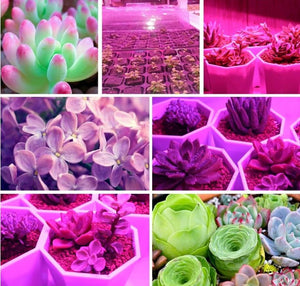 Full Spectrum LED Grow Light