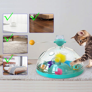 Windmill Interactive Turntable Cat Toy