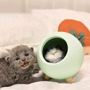 Cat House Night Light