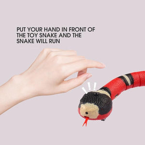 Creative Smart Sensing Snake Cat Toy
