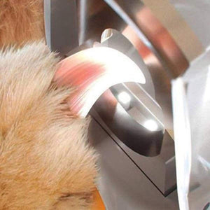 Pet Nail Clipper with LED Light