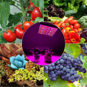 Full Spectrum LED Grow Light