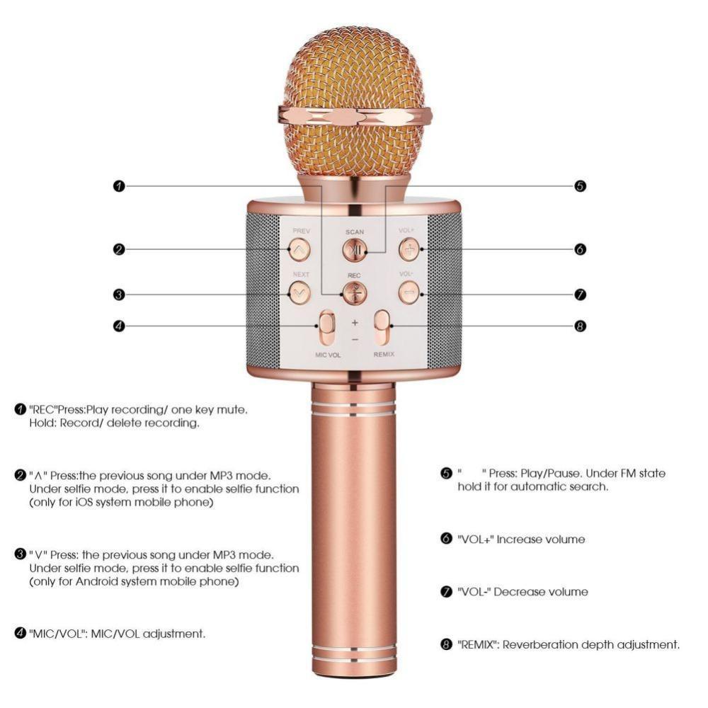 Portable Bluetooth Karaoke Wireless Microphone