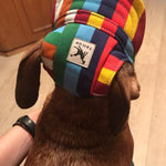 Dog Baseball Cap with Ear Holes