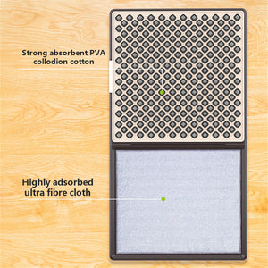 Multifunctional Disinfecting Floor Mat