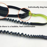 Handsfree Bungee Dog Leash with Waist Bag