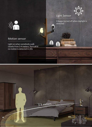 Lucky Bird LED Night Light with Intelligent Motion Sensor
