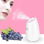 Nano Mist Facial Steamer