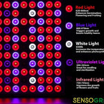Full Spectrum LED Grow Light