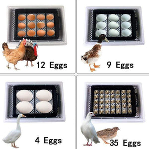 Automatic Egg Incubator