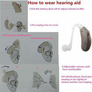 Digital Hearing Aids