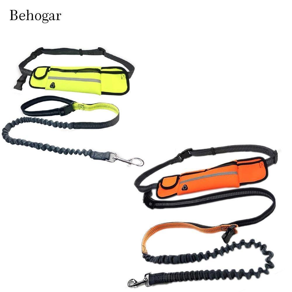Handsfree Bungee Dog Leash with Waist Bag