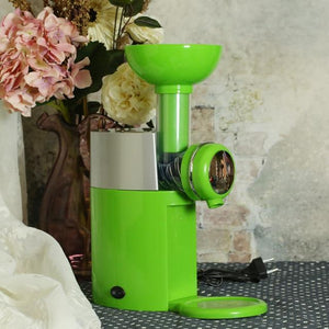 Frozen Fruit Healthy Ice Cream Machine - Dessert Machine