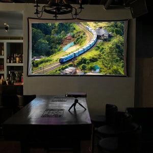 Portable Projector Screen