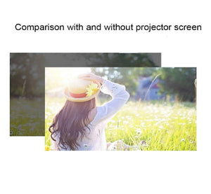 Portable Projector Screen