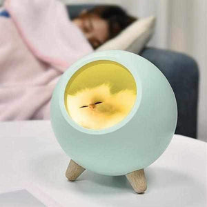 Cat House Night Light