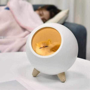 Cat House Night Light